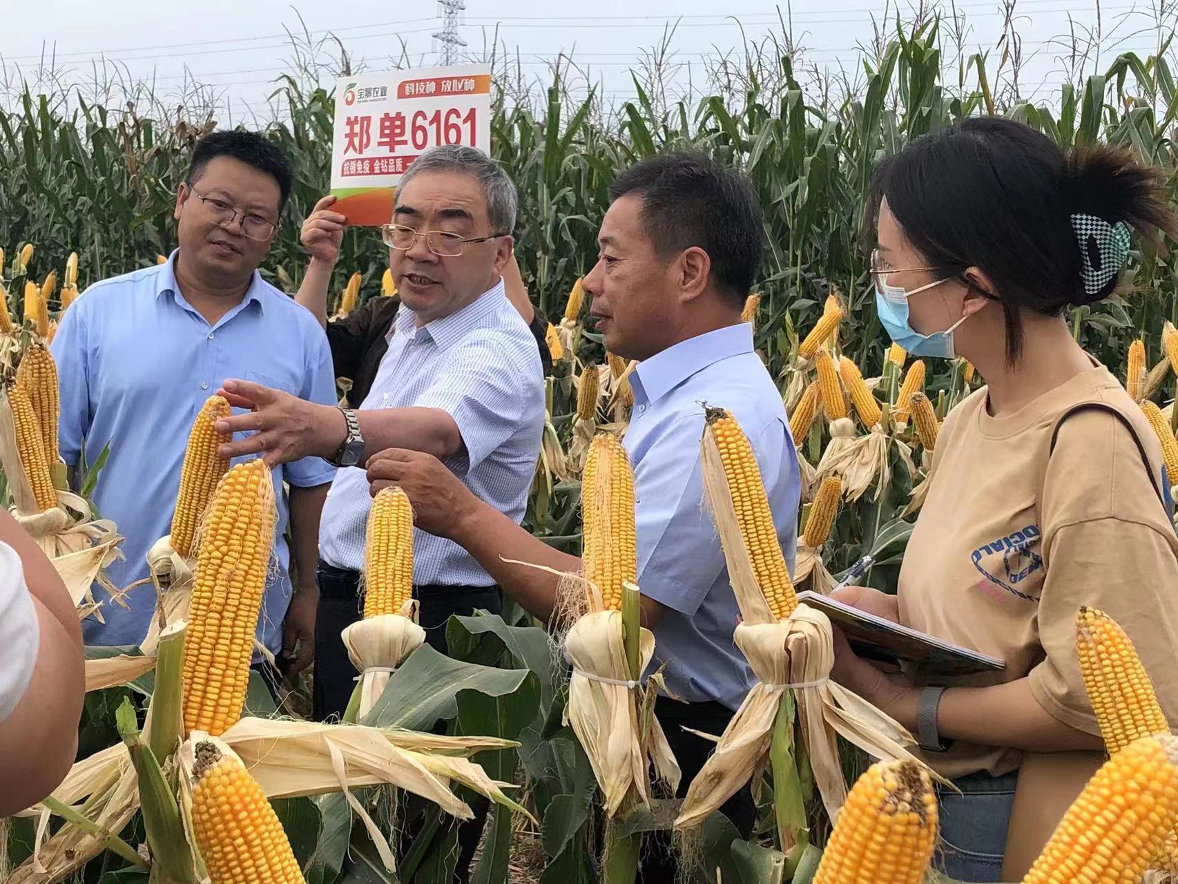 开云体育官方网站-持续高温比赛！球员逆境勇斗