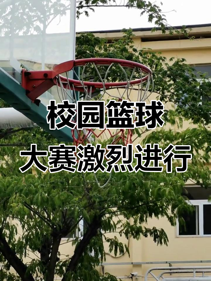 精彩瞬间不容错过，一场篮球盛事震撼举行